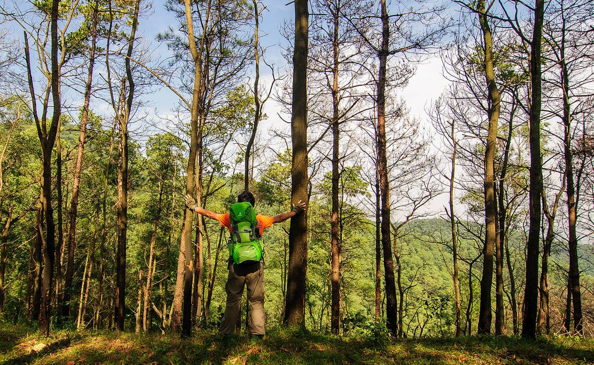 Du khách cũng có thể chọn trekking lên tới đỉnh núi 